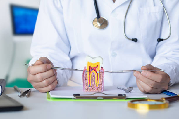 Best Emergency Treatment for Toothache in Happy Valley, OR
